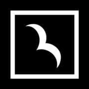Bird Marketing logo